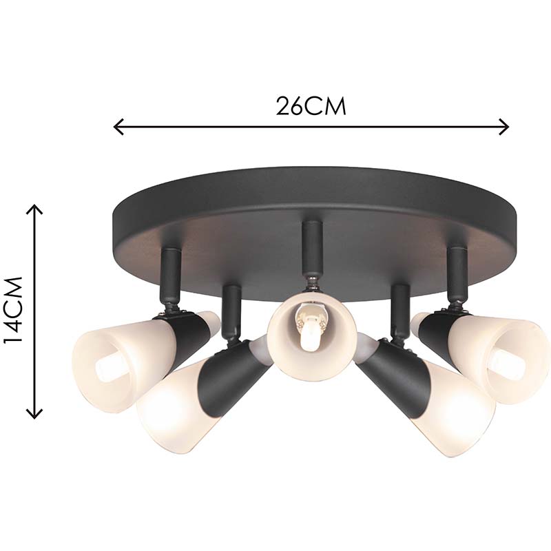 Luminária de teto simples com cinco tons de vidro fosco e lâmpadas G9